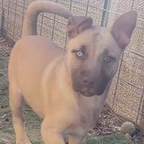 Thumbnail photo of Elsa #2