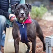 Thumbnail photo of Nova 21062 #2