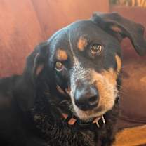 Thumbnail photo of KC #1