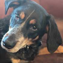 Thumbnail photo of KC #2