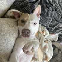 Thumbnail photo of Michelle #1