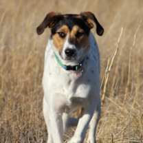 Thumbnail photo of Cece #3