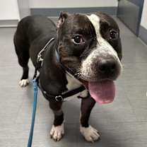 Thumbnail photo of Keeno #3