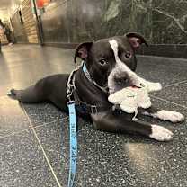 Thumbnail photo of Keeno #4