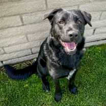 Thumbnail photo of Maeve #4