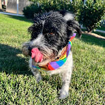 Thumbnail photo of Jack #3