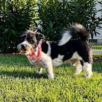 Thumbnail photo of Jack #4