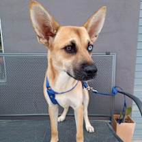 Thumbnail photo of Bonnie #3