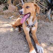 Thumbnail photo of Eddy #3