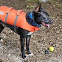 Thumbnail photo of ROCKET #3