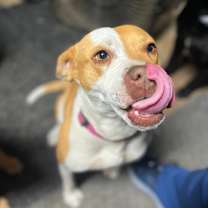 Thumbnail photo of Juniper #1