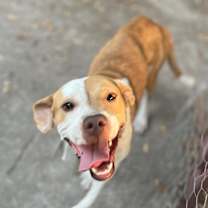 Thumbnail photo of Juniper #2