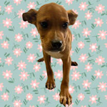 Thumbnail photo of Lana #1