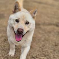 Thumbnail photo of Happy #3