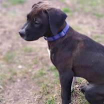 Thumbnail photo of Ashton #3