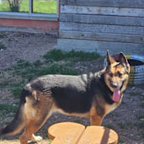 Thumbnail photo of Athena #1