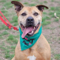 Thumbnail photo of Naco #1