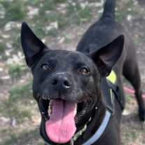 Thumbnail photo of Murphy #1