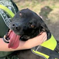 Thumbnail photo of Murphy #2