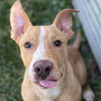 Thumbnail photo of Wyatt #1