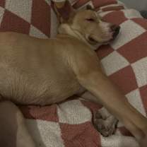 Thumbnail photo of Wyatt #3