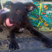 Thumbnail photo of Flower #2