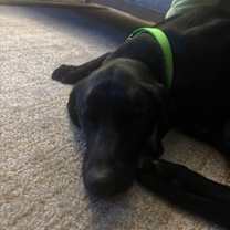 Thumbnail photo of Delilah 3 #2