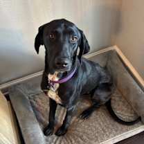 Thumbnail photo of Delilah 3 #3