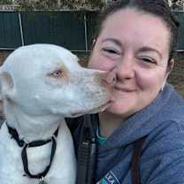 Thumbnail photo of AC - Aero #2