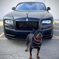 Thumbnail photo of Male #3