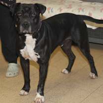 Thumbnail photo of Doofy (Photos 3/9/2025) #1