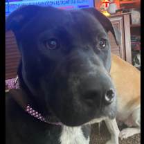 Thumbnail photo of Mikey #2