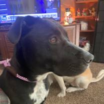 Thumbnail photo of Mikey #3