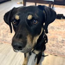 Thumbnail photo of Zeus #2