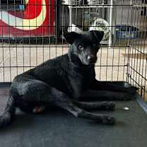 Thumbnail photo of Chad #3