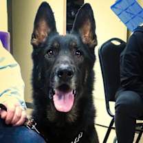 Thumbnail photo of ANDY #3