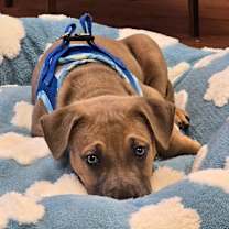 Thumbnail photo of Eoin #1