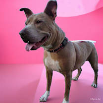Thumbnail photo of Scarlett #2