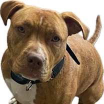 Thumbnail photo of Gina #1