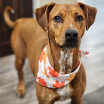 Thumbnail photo of Rita #1