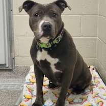 Thumbnail photo of Quinnie Jean #2