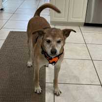 Thumbnail photo of Zach #4