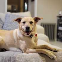 Thumbnail photo of Dwight #1