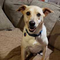 Thumbnail photo of Dwight #2