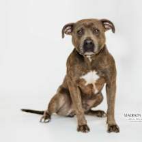 Thumbnail photo of Monk #1