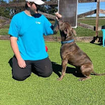 Thumbnail photo of Monk #3