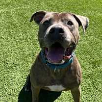 Thumbnail photo of Monk #4