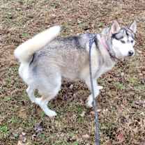 Thumbnail photo of Flora #2