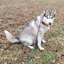 Thumbnail photo of Flora #3