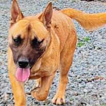 Thumbnail photo of Oliver #1